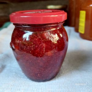 Marmelada iz gozdnih jagod brez kuhanja