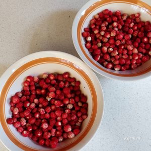 recept za marmelado iz gozdnih jagod brez kuhanja