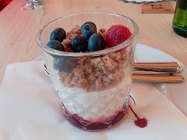 panakota z borovnicami in malinami