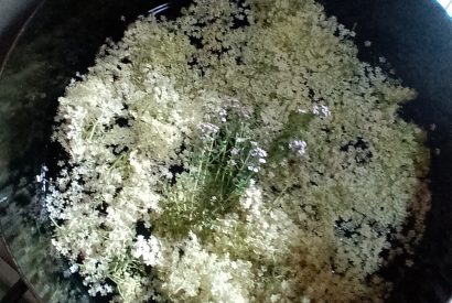 sirup iz bezgovih cvetov s timijanom