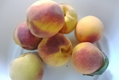 sestavine za domač breskov kompot