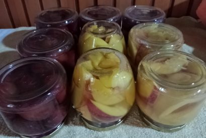 koliko časa pasteriziramo breskov kompot